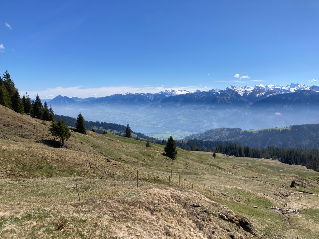 Aufmarsch an Auffahrt