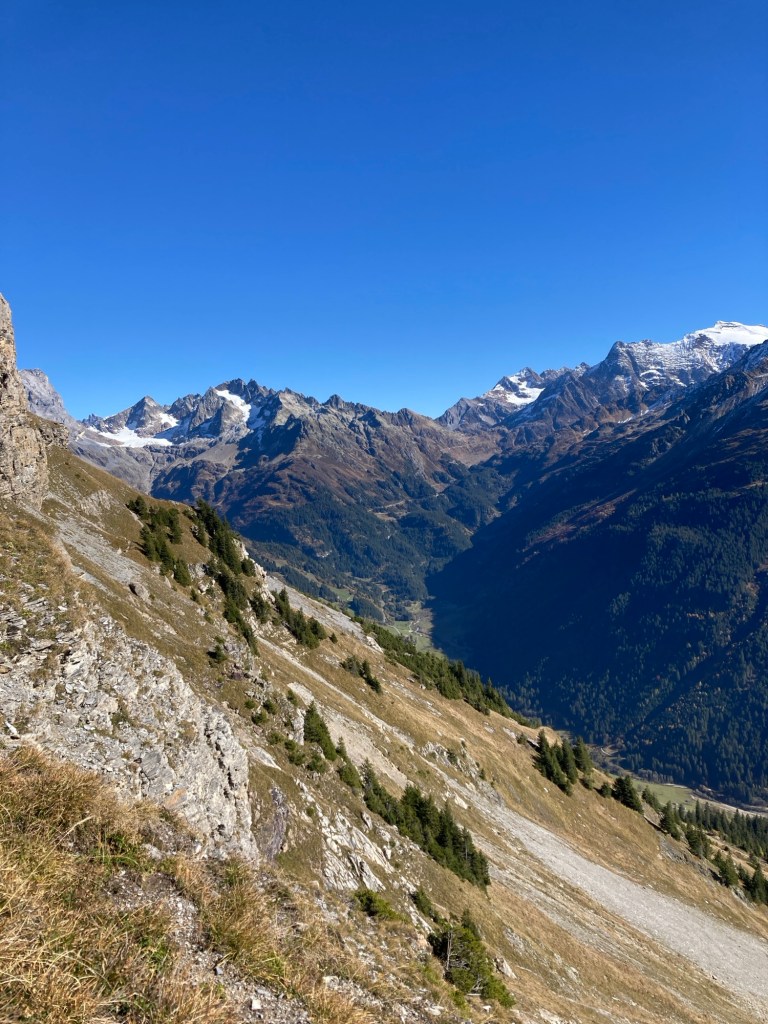 img_1793